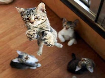 17 funny pictures from facebook