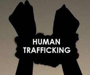 court gets angry on human trafficing cases