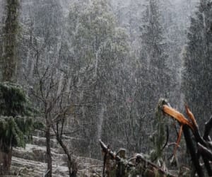 hail storm and snowfall in uttarakhand
