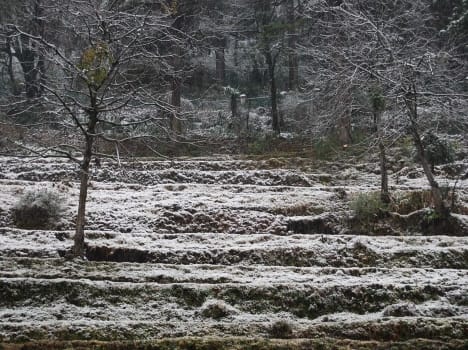 rain and snowfall in uttarakhand