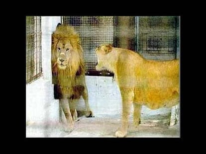 funny pics from facebook