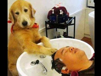 funny pics from facebook