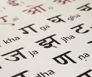 hindi as a career option in india