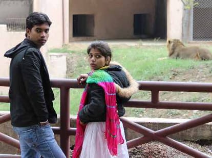 short term adoptation policy in lucknow Zoo