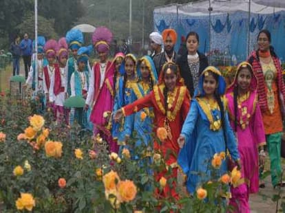 rose festival@pu