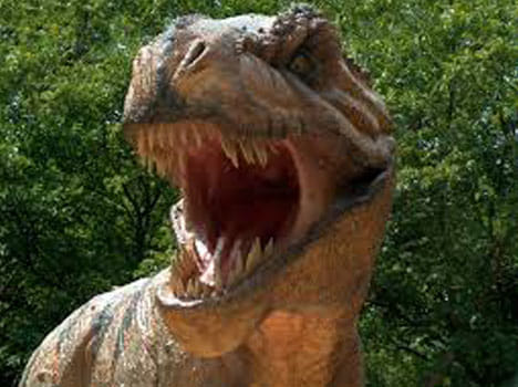 rajasthan was once a real jurassic park