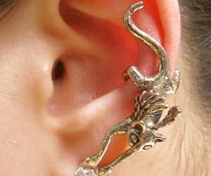 maggot in ear