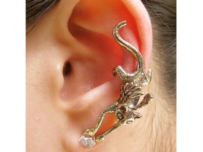 maggot in ear