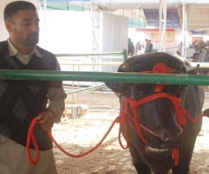 Progrresiv Punjab Agriculture Summit