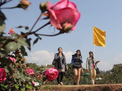 special attraction on rose festival