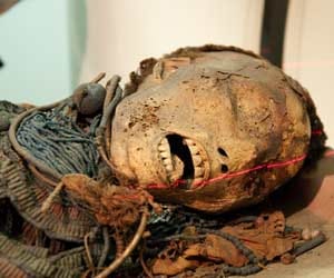 modern mummified