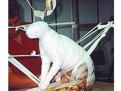 modern mummified
