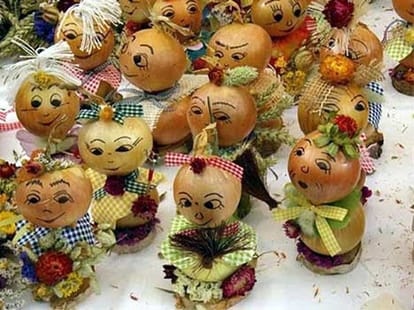 funny onion pics 