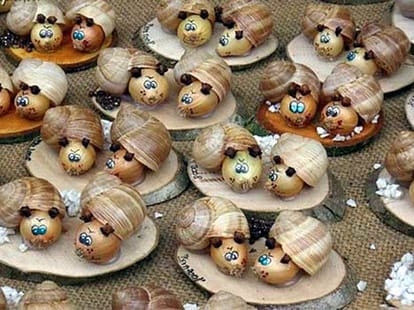 funny onion pics 