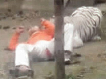 tiger_zoo_man