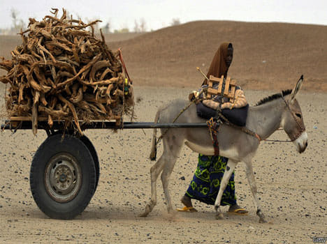 first slaughter house of kenya to start soon