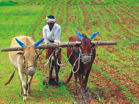 best water management in chamba