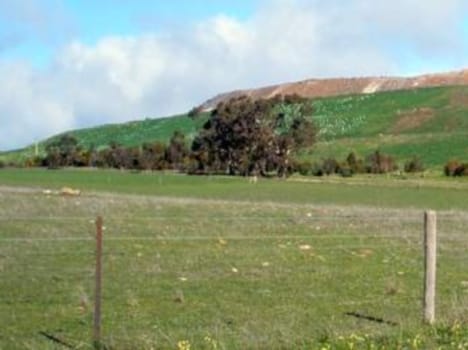 Farm house plan would be investigated