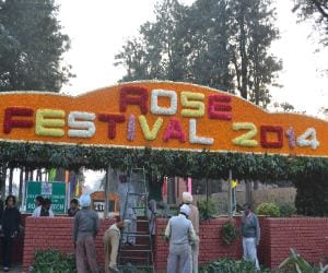 rose festival starts on 21 feb