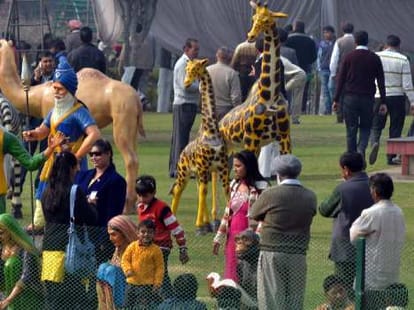 special attraction on rose festival
