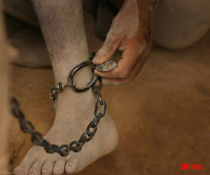 woman, locked, room, house case