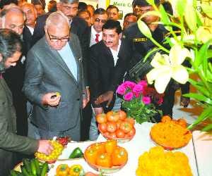 Floriculture Exhibition in Exhibition Ground