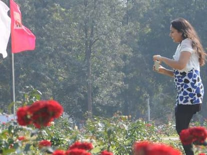 rose festival starts on 21 feb