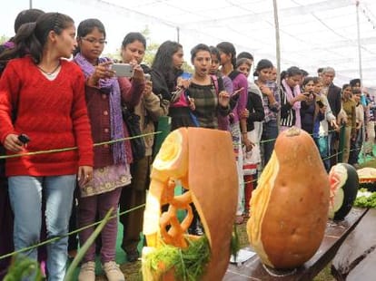 rose festival starts on 21 feb