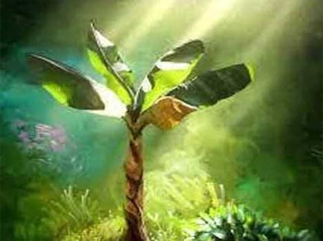 hariyali amavasya festival of greenery 