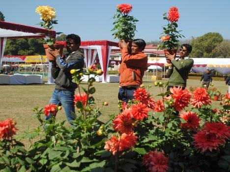 flower show at rajbhan dehradun