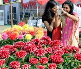 flower show in dehradun