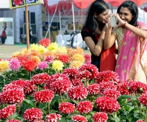 Flower Show in Mohali by JLPL