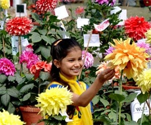ndmc won chairman trophy in flower show