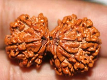 Auspicious time for tying Rakhi