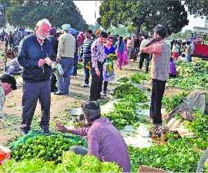 Sector 15 Vegetable Market now in Sec 20 Market
