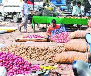 5 Mandi Closed in Mohali