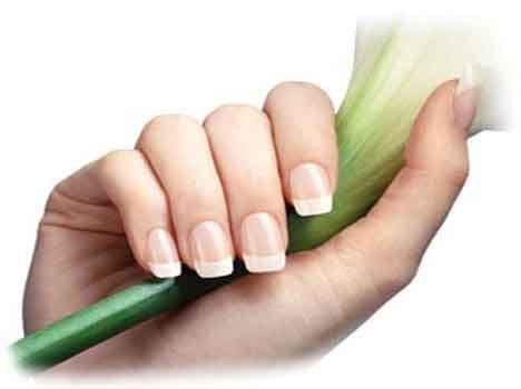 palmistry nails health