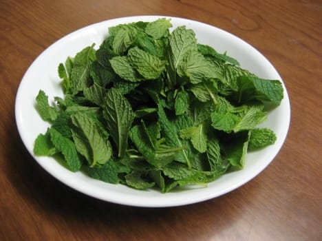 peppermint fight cancer