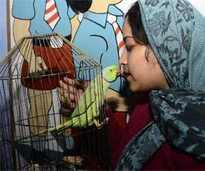 nephew murdered his aunty in agra