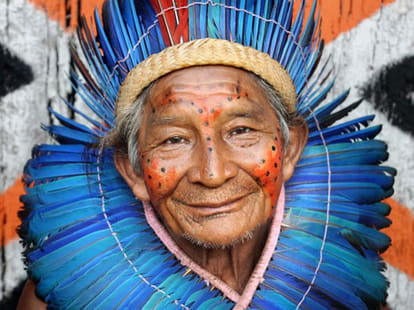 tribe beauty