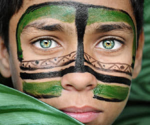 tribe beauty