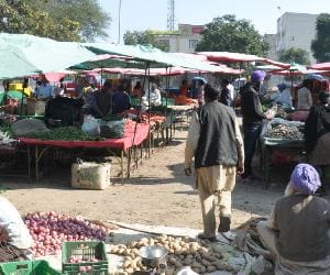 subzi mandi not closed in mohali
