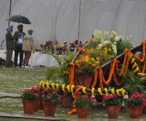 Possible benefit from rain flower cultivation