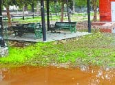 100-acre park will be electronic.