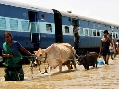 bihar special status