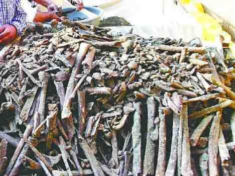 amritsar martyrdom well: 1857 freedom movement and-martyrdom