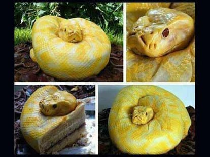 funny pics from facebook