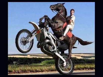 funny pics from facebook