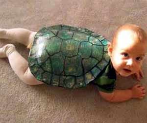 funny pics from facebook