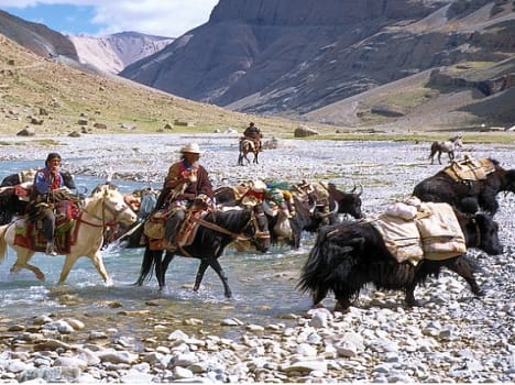 kailas mansarovar yatra